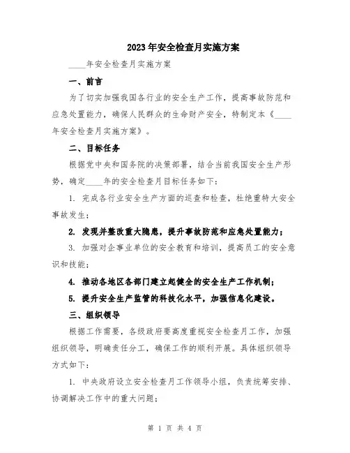 2023年安全检查月实施方案