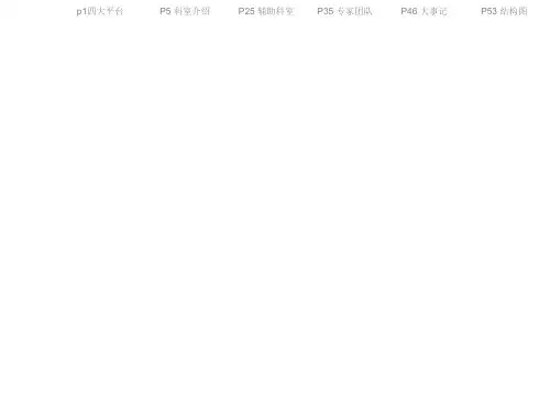 同济医院介绍PPT统一模板(战略规划)