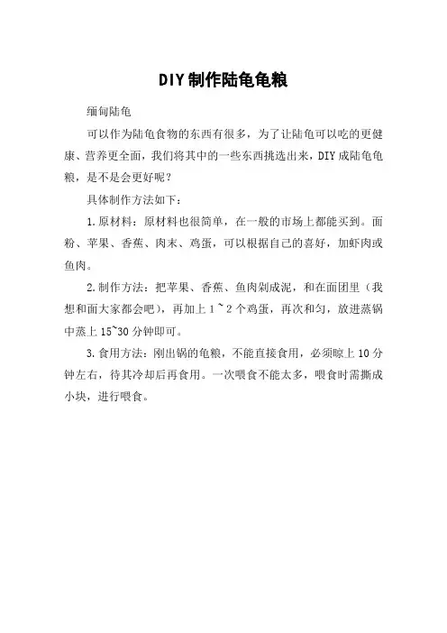 DIY制作陆龟龟粮