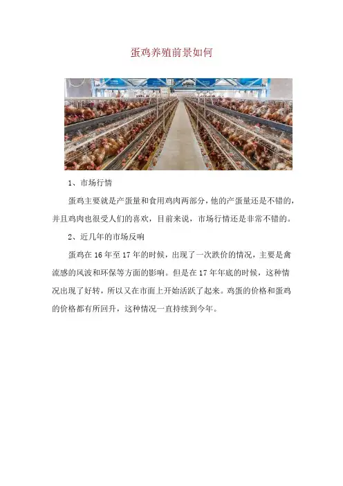 蛋鸡养殖前景如何