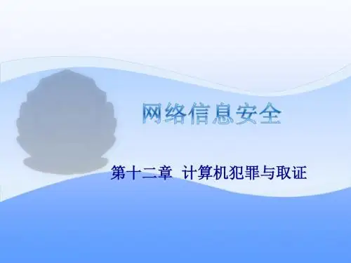 第12章计算机犯罪与取证