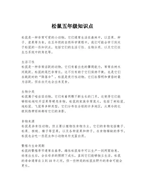 松鼠五年级知识点