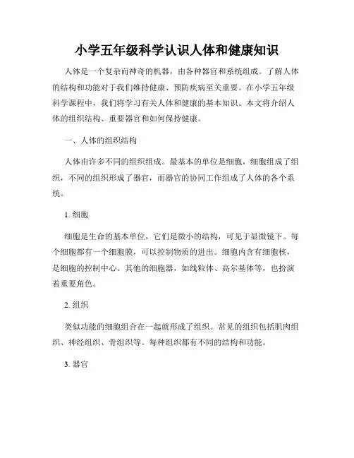 小学五年级科学认识人体和健康知识