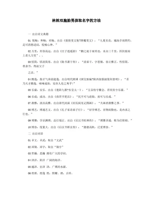 林姓双胞胎男孩取名字的方法