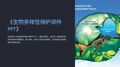 《生物多样性保护课件PPT》