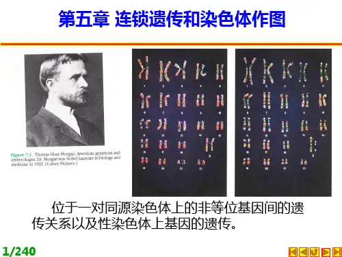 连锁遗传和染色体作图