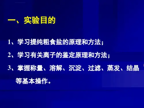 粗食盐的提纯-氯化钠的制备-PPT课件