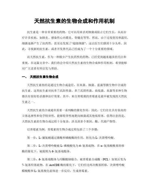 天然抗生素的生物合成和作用机制