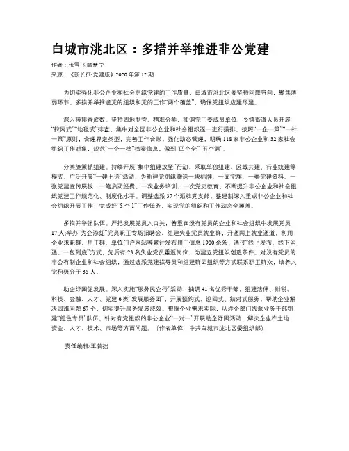 白城市洮北区：多措并举推进非公党建 