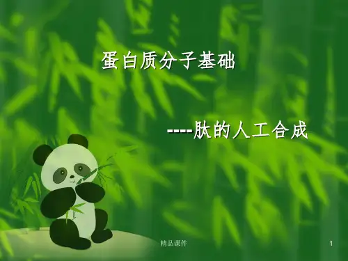 蛋白质分子基础7-肽的人工合成ppt课件