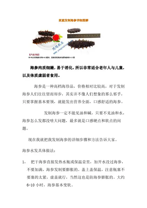 家庭发制海参详细图解