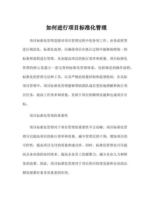 如何进行项目标准化管理