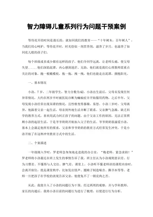 智力障碍儿童系列行为问题干预案例