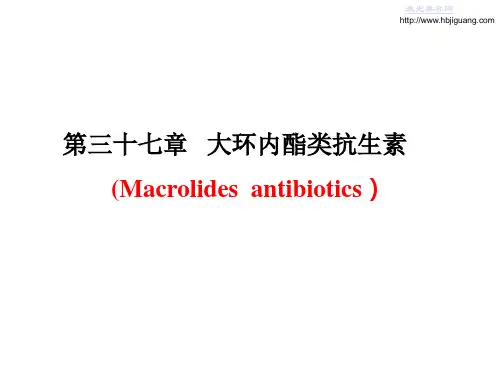 大环内酯类抗生素