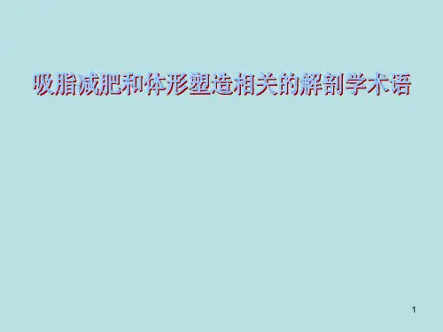 吸脂PPT演示课件