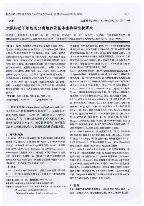 大鼠脂肪干细胞的分离培养及基本生物学性状研究