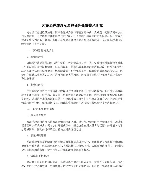 河湖淤泥疏浚及淤泥处理处置技术研究