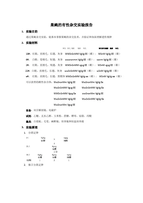 果蝇的有性杂交实验报告