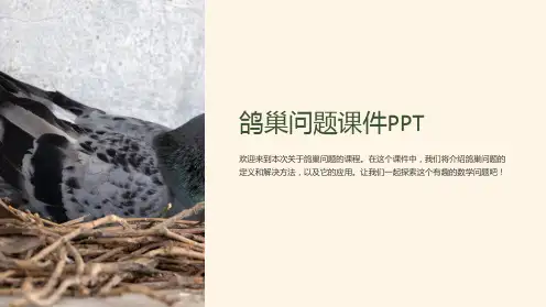《鸽巢问题》课件