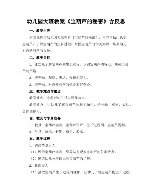 幼儿园大班教案《宝葫芦的秘密》含反思