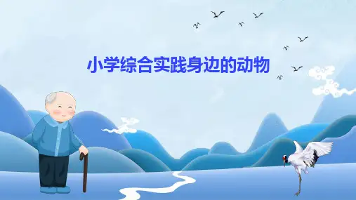 小学综合实践身边的动物课件ppt