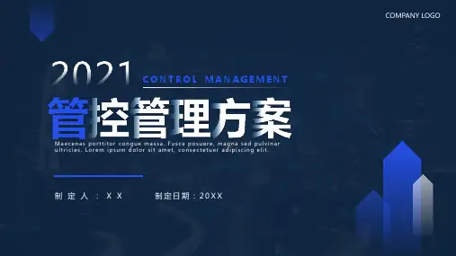 蓝色商务风项目管控方案工作汇报PPT模板