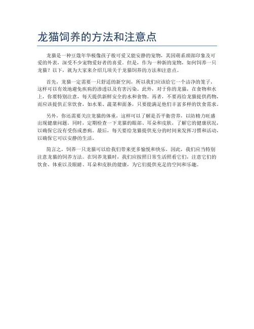 龙猫饲养的方法和注意点