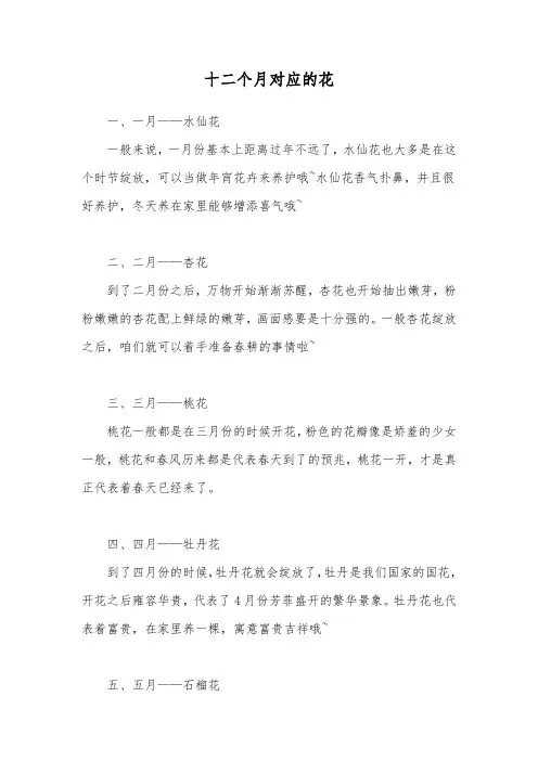 十二个月对应的花
