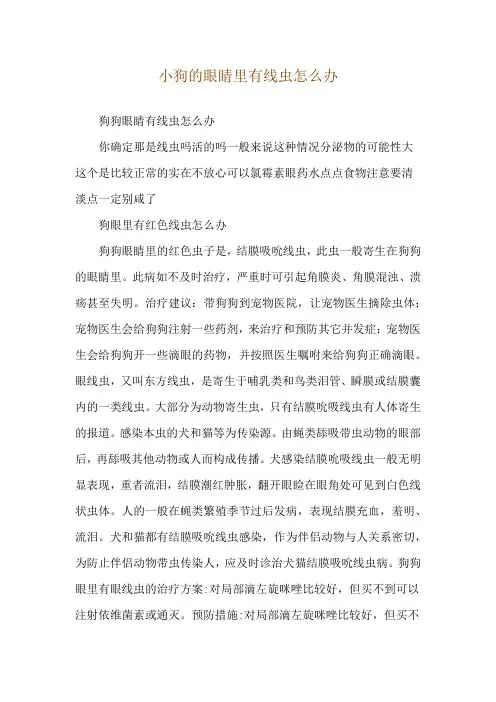 小狗的眼睛里有线虫怎么办