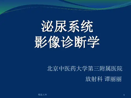 泌尿系统疾病的影像表现