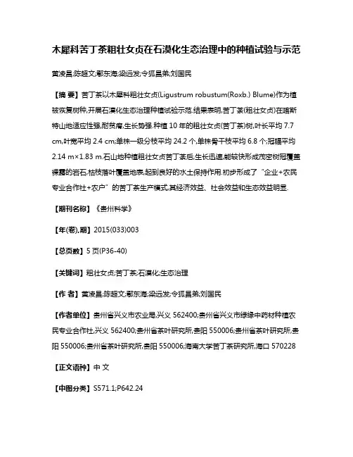 木犀科苦丁茶粗壮女贞在石漠化生态治理中的种植试验与示范