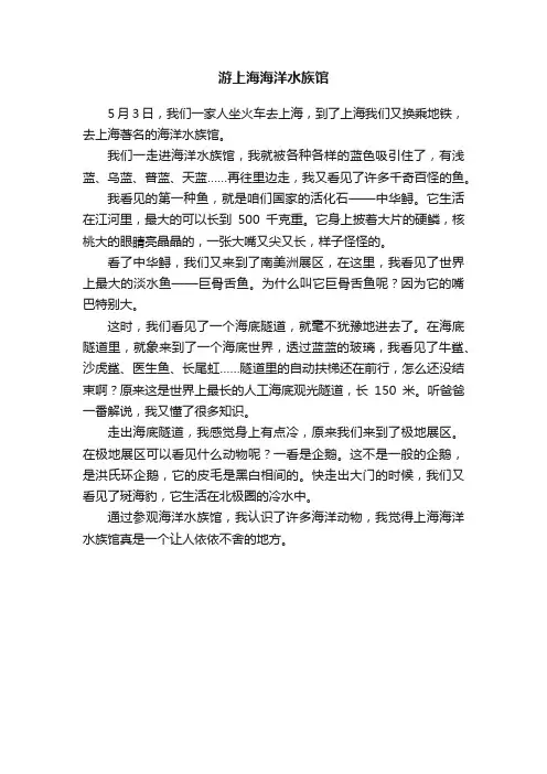 游上海海洋水族馆