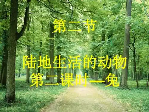 陆地生活的动物(第二课时兔)