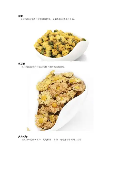 杭白菊和黄山贡菊的区别