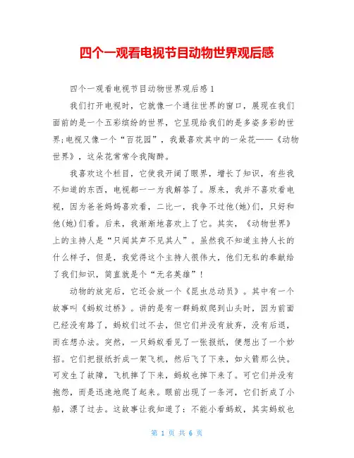 四个一观看电视节目动物世界观后感