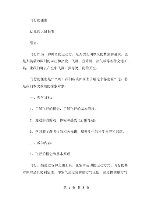 飞行的秘密幼儿园大班教案