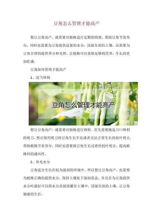 豆角怎么管理才能高产