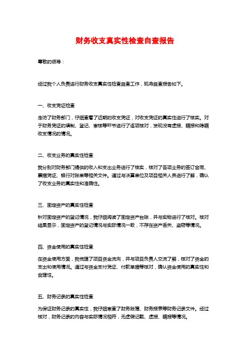 财务收支真实性检查自查报告