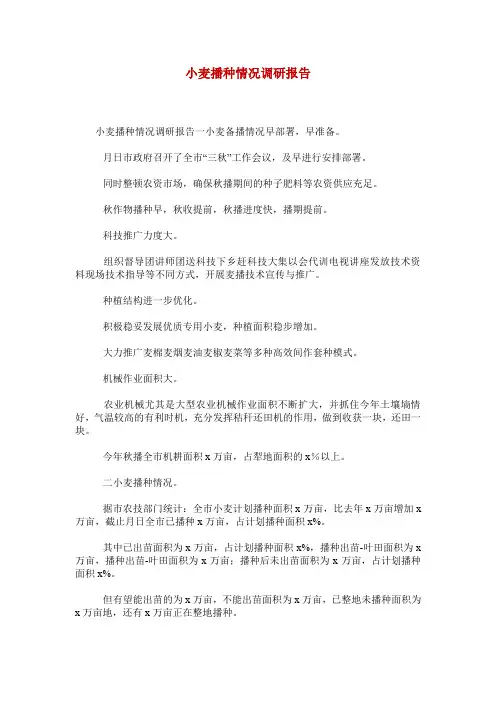 小麦播种情况调研报告_0