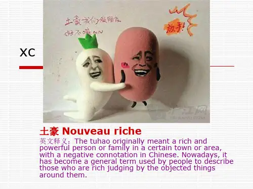 十大网络词汇翻译