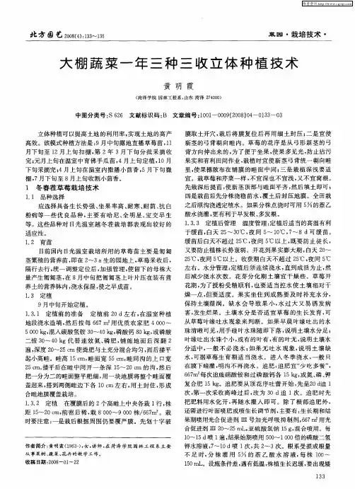 大棚蔬菜一年三种三收立体种植技术