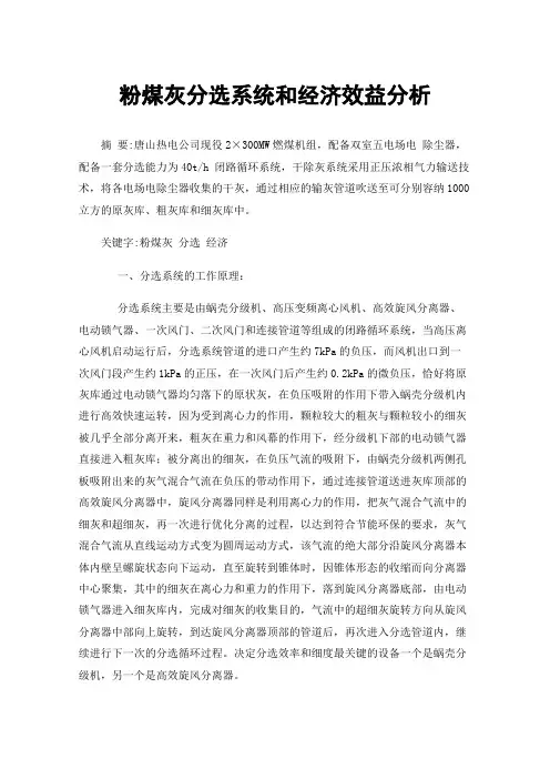 粉煤灰分选系统和经济效益分析