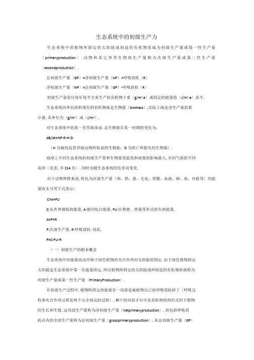生态系统中的初级生产力