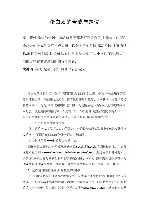 蛋白质的合成与定位