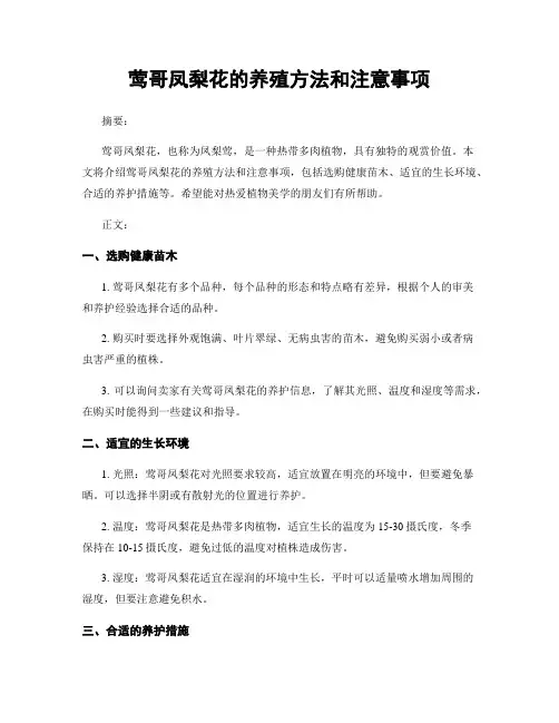 莺哥凤梨花的养殖方法和注意事项