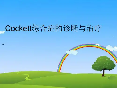 【精品】Cockett综合症的诊断与治疗PPT课件