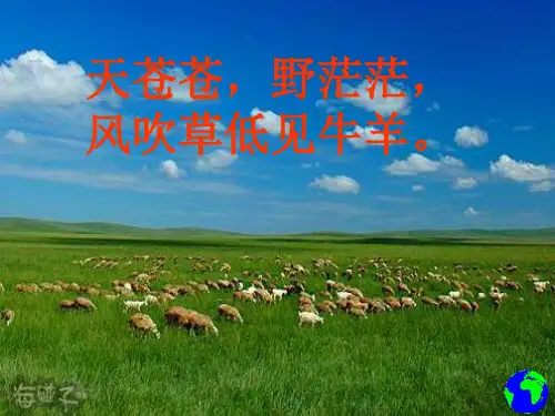 畜牧业为主的农业地区类型