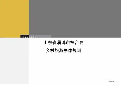乡村旅游总体规划