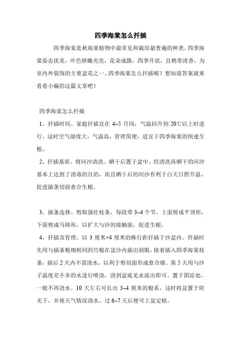四季海棠怎么扦插.doc