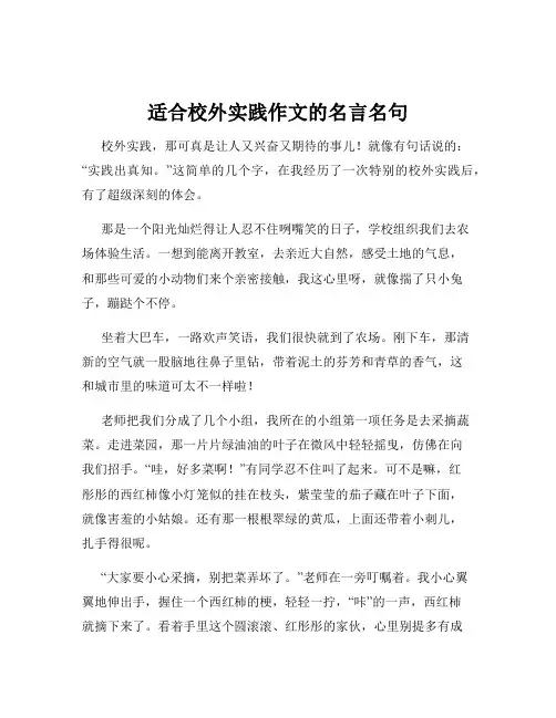 适合校外实践作文的名言名句